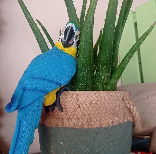 Casa Mamre Maspalomas (Gran Canaria)